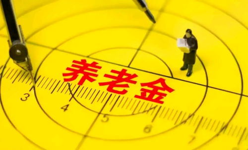 退休后，高級職稱在技術咨詢中的價值與機遇